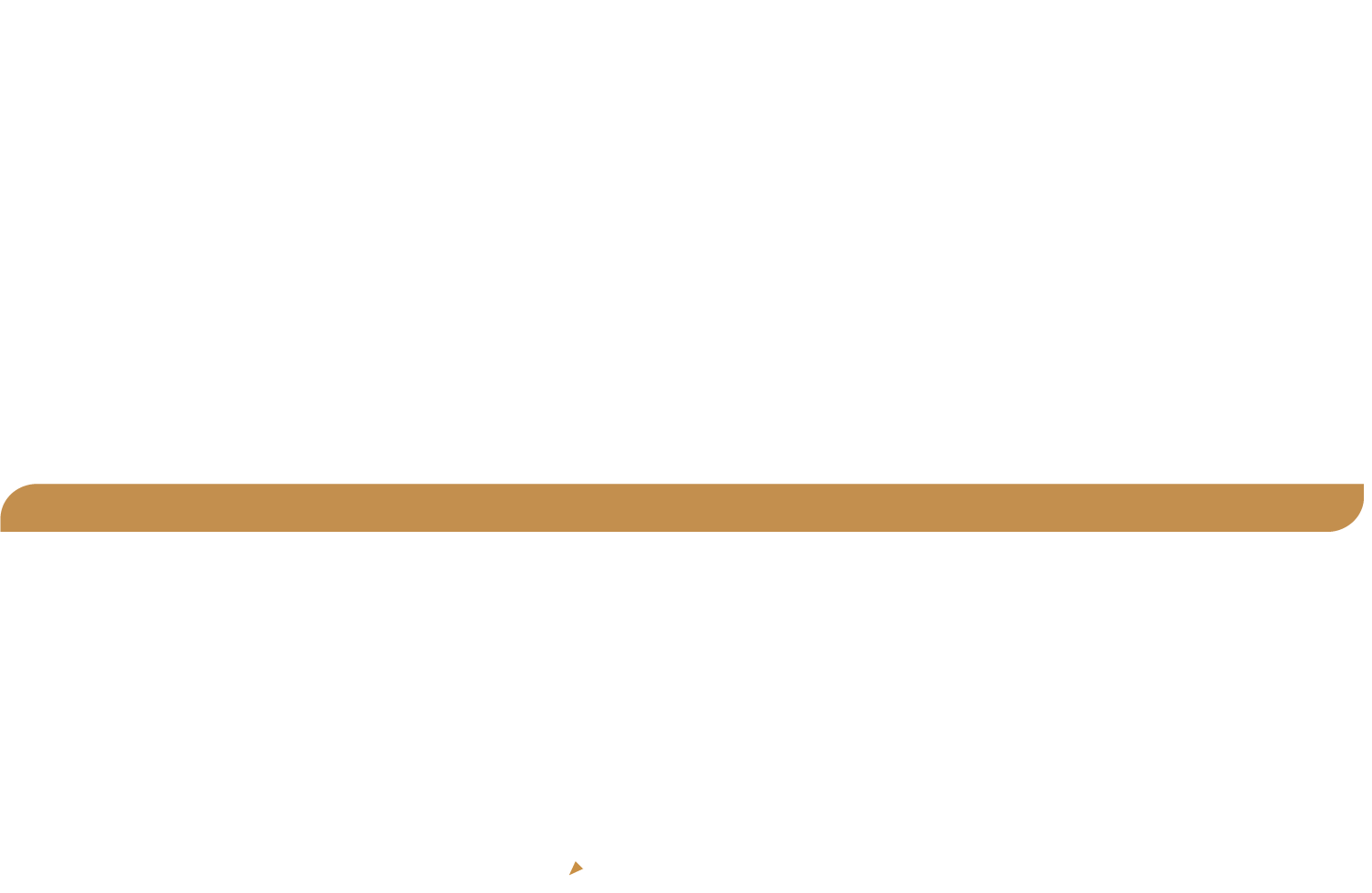 Avtale_logoDIAP